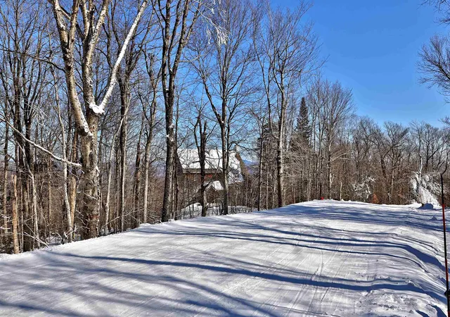 Homes for sale in Ludlow, VT | 1300 Mountain Rd, Ludlow, VT 05149 | MLS# 5098579