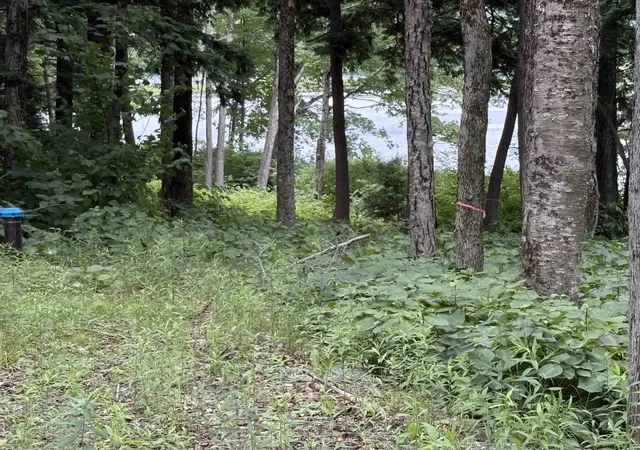 Photo 3 of Sale Pending at 340 Tyanoga Lot X Rd, Whitingham, VT 05361 | MLS# 5098583 | Listing updated on 2026-08-21