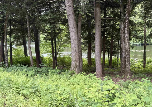 Homes for sale in Whitingham, VT | 340 Tyanoga Lot X Rd, Whitingham, VT 05361 | MLS# 5098583