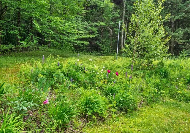 56th image of 3818 West Hill Rd, Montgomery, VT 05450 | MLS# 5098621