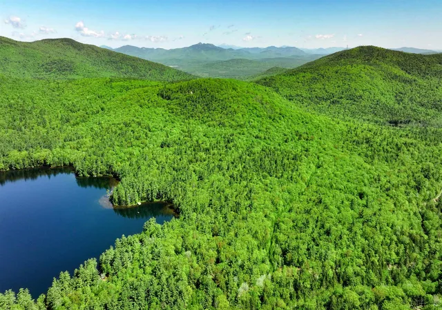 Homes for sale in Ossipee, NH | 00 Pine Hill Rd, Ossipee, NH 03864 | MLS# 5098645