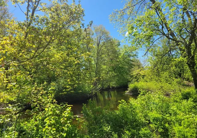 13th image of 00 Eastern District Rd, Danbury, NH 03230 | MLS# 5098655