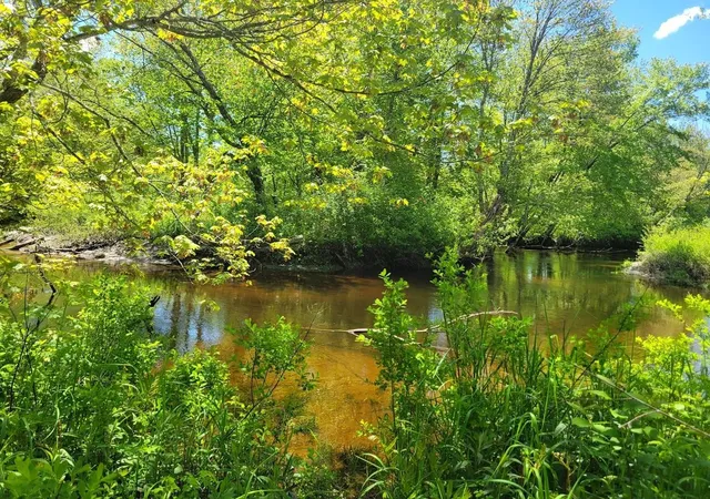 3rd image of 00 Eastern District Rd, Danbury, NH 03230 | MLS# 5098655