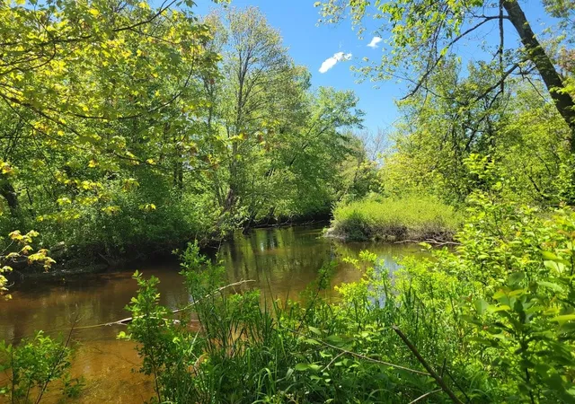 4th image of 00 Eastern District Rd, Danbury, NH 03230 | MLS# 5098655