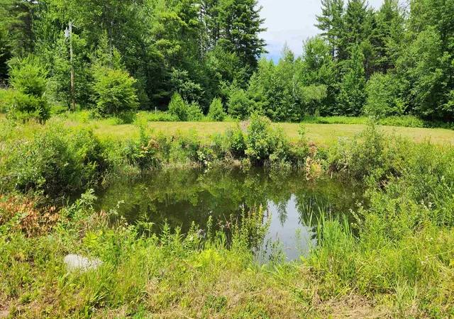 Homes for sale in Goshen, NH | 925 Center Rd, Goshen, NH 03752 | MLS# 5098661