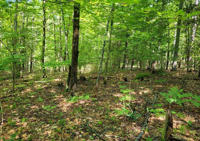 Photo 3 of Land for sale at 00 Thompson Rd, Keene, NH 03431 | MLS# 5098722 | Listing updated on 2026-07-28