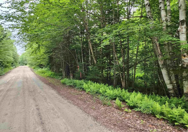 Homes for sale in Errol, NH | Lot 3 North Mountain Pond Rd, Errol, NH 03579 | MLS# 5098851