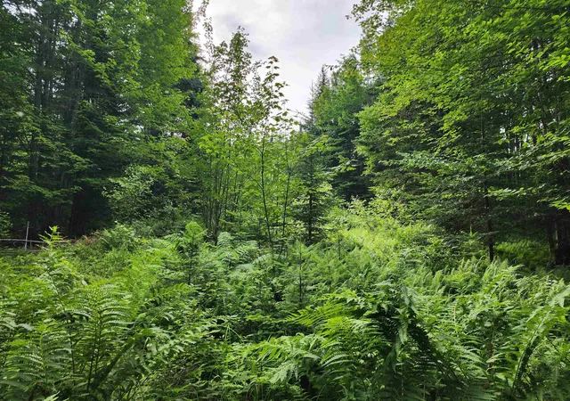 Homes for sale in Errol, NH | Lot 3 North Mountain Pond Rd, Errol, NH 03579 | MLS# 5098851
