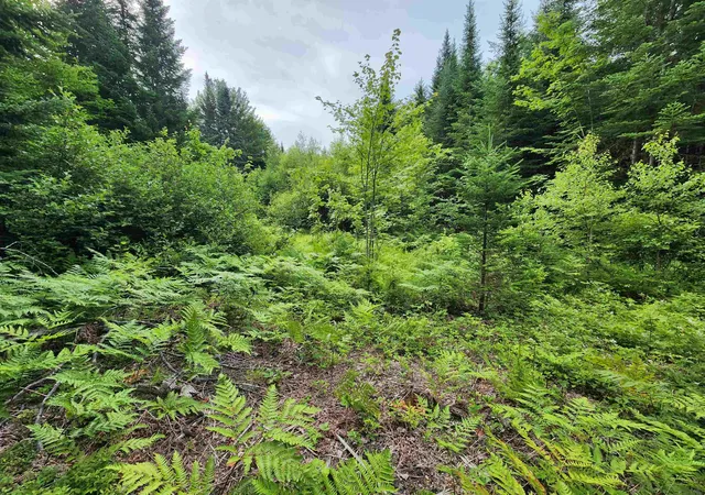 Homes for sale in Errol, NH | Lot 3 North Mountain Pond Rd, Errol, NH 03579 | MLS# 5098851
