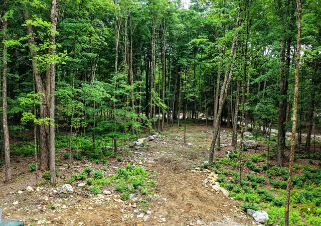 4th image of 0 Cedar Ln, Mendon, VT 05701 | MLS# 5098908
