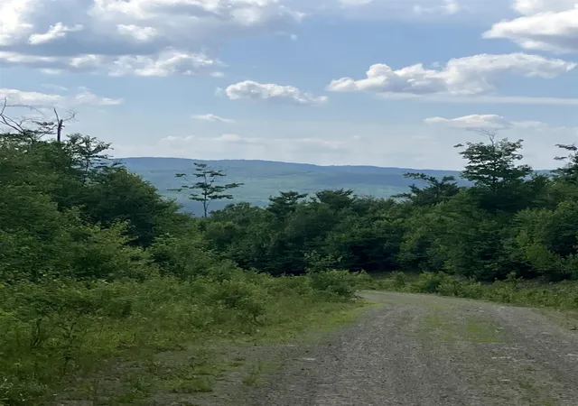 3rd image of Lot 2&3 Washburn/Meridan Hill Rd, Columbia, NH 03576 | MLS# 5098961
