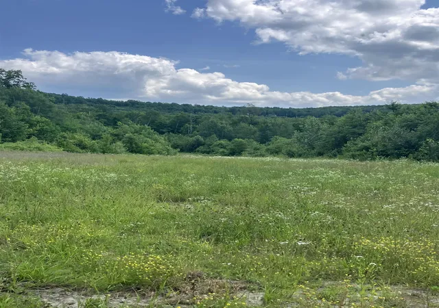 4th image of Lot 2&3 Washburn/Meridan Hill Rd, Columbia, NH 03576 | MLS# 5098961