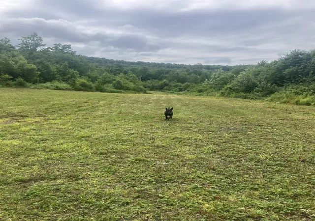 Photo 3 of Land for sale at Lot 2&3 Washburn/Meridan Hill Rd, Colebrook, NH 03576 | MLS# 5098961 | Listing updated on 2026-08-17