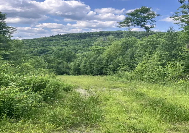 5th image of Lot 2&3 Washburn/Meridan Hill Rd, Columbia, NH 03576 | MLS# 5098961