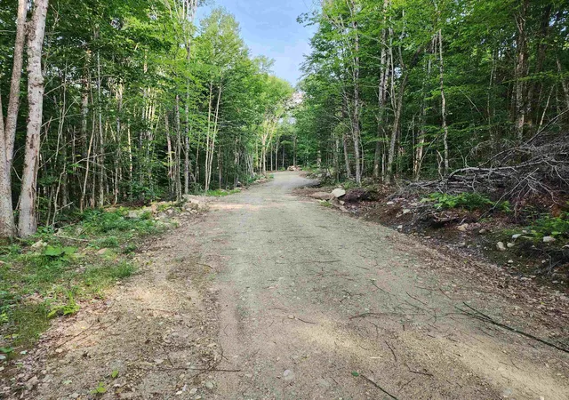 Homes for sale in Errol, NH | 000 Hampshire Woods Loop, Errol, NH 03579 | MLS# 5098991