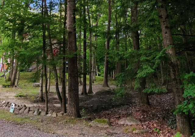 Photo 3 of Land for sale at 55 Mountain View Dr, Moultonborough, NH 03253 | MLS# 5099075 | Listing updated on 2026-09-10