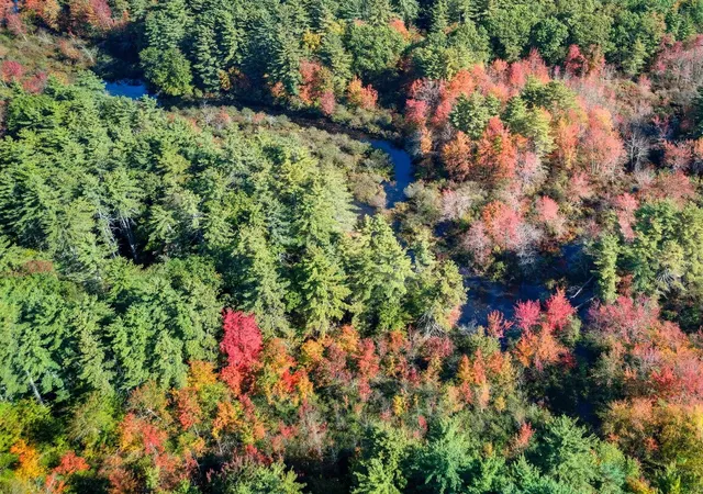 Photo 3 of Single family home for sale at 16 Williamsburg Dr, Amherst, NH 03031 | MLS# 5099078 | Listing updated on 2026-09-17