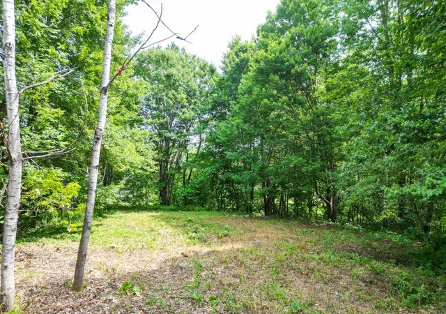 3rd image of Map 401 Lot 18 Washington Hill Rd, Tamworth, NH 03817 | MLS# 5099083