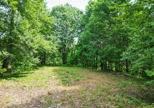 4th image of Map 401 Lot 18 Washington Hill Rd, Tamworth, NH 03817 | MLS# 5099083