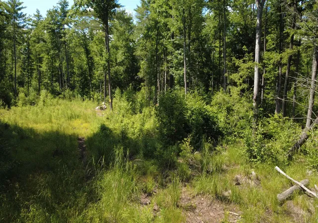 4th image of 00 Foxtrot Rd, Farmington, NH 03835 | MLS# 5099093