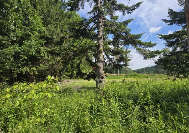 Homes for sale in Groton, NH | 12 N Fletcher Rd, Groton, NH 03241 | MLS# 5099120