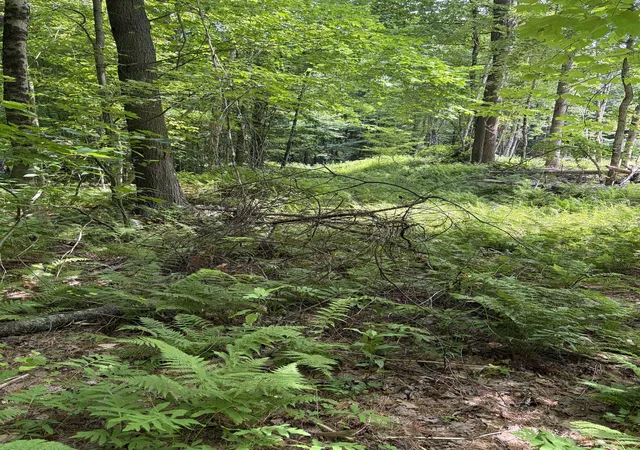 Homes for sale in Lisbon, NH | 100 Ledge Rd, Lisbon, NH 03585 | MLS# 5099140