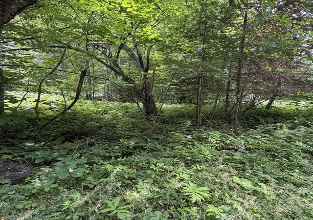 Homes for sale in Lisbon, NH | 100 Ledge Rd, Lisbon, NH 03585 | MLS# 5099140