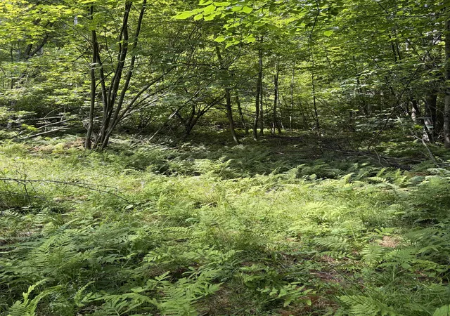Homes for sale in Lisbon, NH | 100 Ledge Rd, Lisbon, NH 03585 | MLS# 5099140
