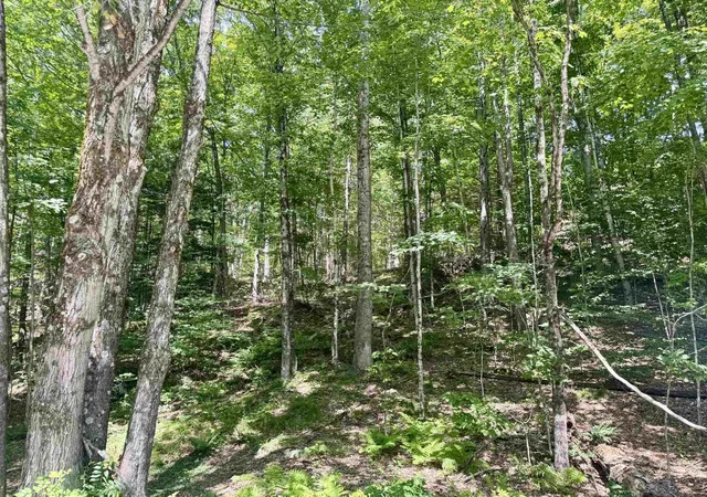 5th image of 07-76 Winding Wy, Killington, VT 05751 | MLS# 5099155