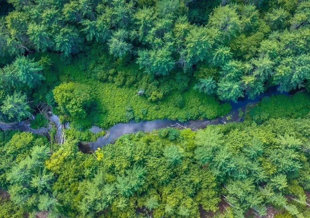 Photo 3 of Land for sale at 40 E Putney Brook Rd, Putney, VT 05346 | MLS# 5099194 | Listing updated on 2026-09-11