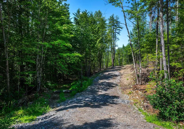 Photo 4 of Land for sale at 40 E Putney Brook Rd, Putney, VT 05346 | MLS# 5099194 | Listing updated on 2026-09-11