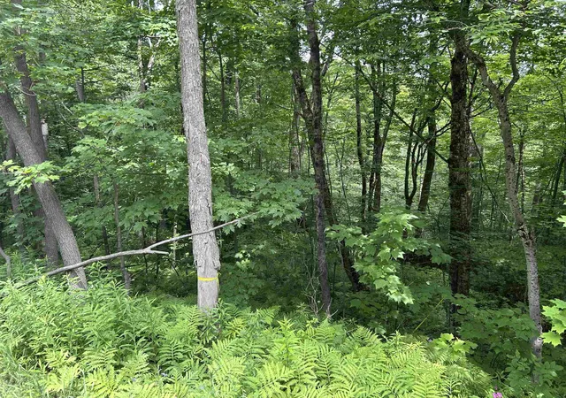 Homes for sale in Winhall, VT | 0 30 Rte, Winhall, VT 05340 | MLS# 5099207