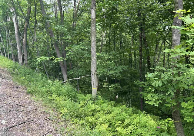 Photo 3 of Land for sale at 0 30 Rte, Winhall, VT 05340 | MLS# 5099207 | Listing updated on 2026-09-17