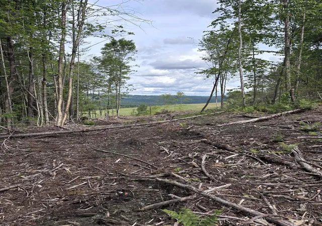 Photo 2 of Land for sale at 0 Davis Acres Rd, Randolph, VT 05060 | MLS# 5099216 | Listing updated on 2026-07-20