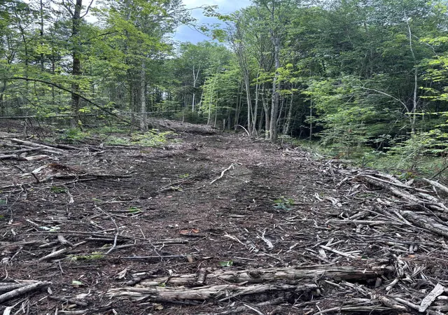 Photo 3 of Land for sale at 0 Davis Acres Rd, Randolph, VT 05060 | MLS# 5099216 | Listing updated on 2026-07-20