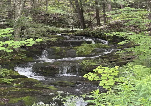 Photo 3 of Land for sale at 0 Davis Acres Rd, Randolph, VT 05060 | MLS# 5099216 | Listing updated on 2026-07-20