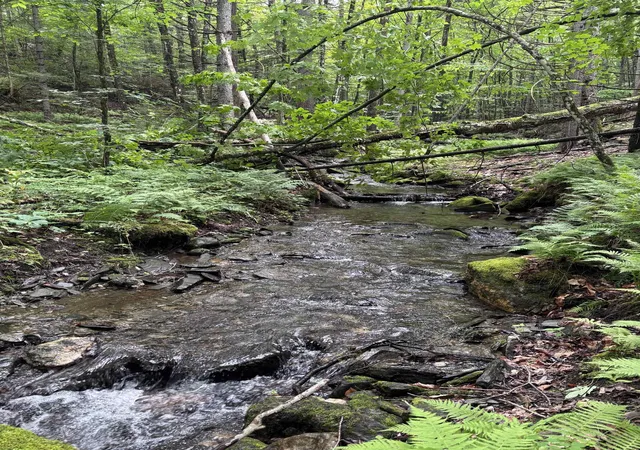 Photo 4 of Land for sale at 0 Davis Acres Rd, Randolph, VT 05060 | MLS# 5099216 | Listing updated on 2026-07-20