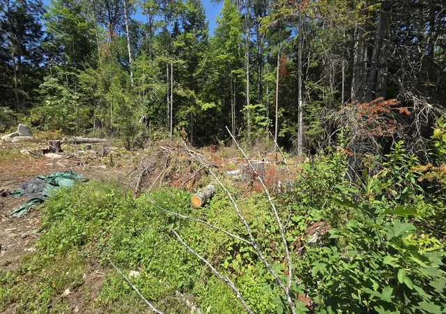 Homes for sale in Canaan, NH | 55 Grafton Turnpike Rd, Canaan, NH 03741 | MLS# 5099237