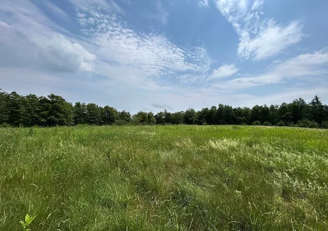 Homes for sale in Halifax, VT | 6036 Jacksonville Stage Rd, Halifax, VT 05358 | MLS# 5099261