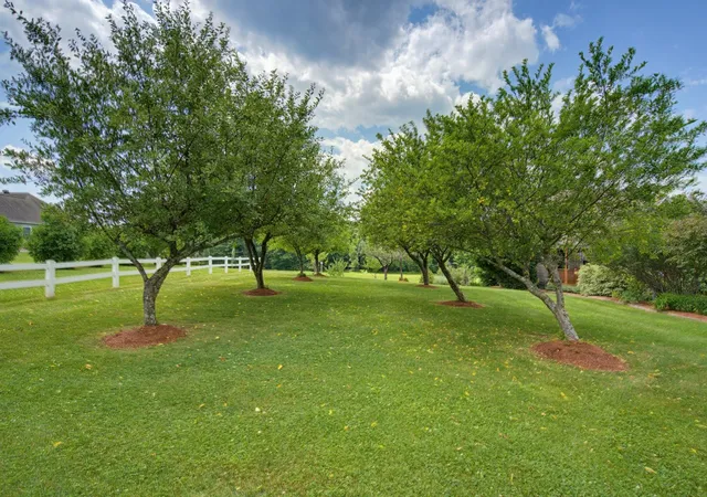 3rd image of 50 Range Rd, Pittsfield, NH 03263 | MLS# 5099336