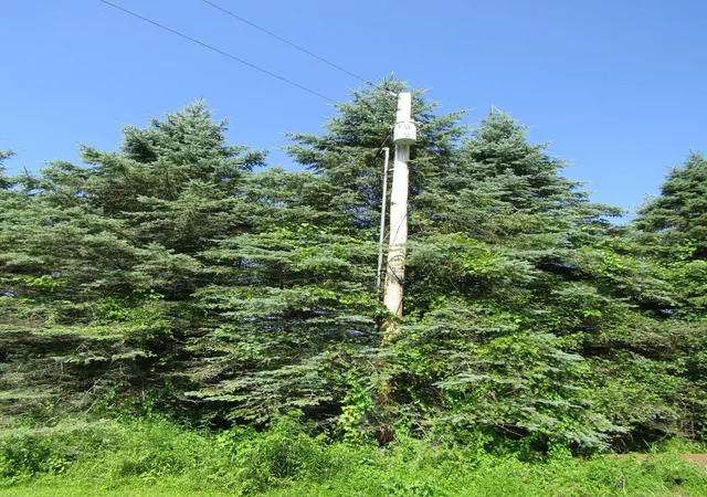 4th image of 331 Gilman, Lot 3 Rd, Sheldon, VT 05483 | MLS# 5099419
