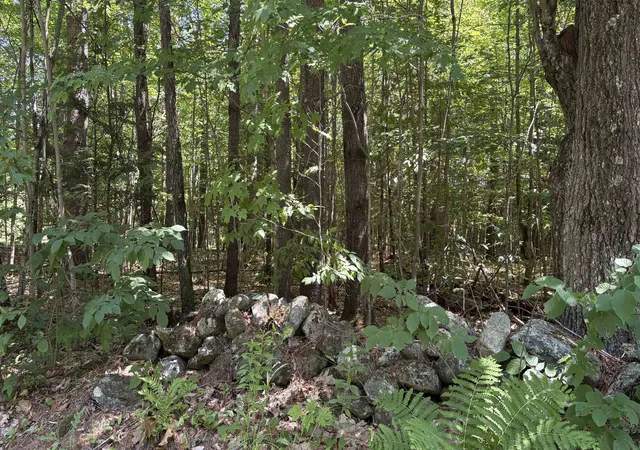 Photo 4 of Land for sale at Stage Map 10 Lot 664 Rd, Charlestown, NH 03603 | MLS# 5099425 | Listing updated on 2026-07-23