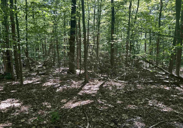 Homes for sale in Winhall, VT | 0 Mountain Haunts, Winhall, VT 05340 | MLS# 5099438