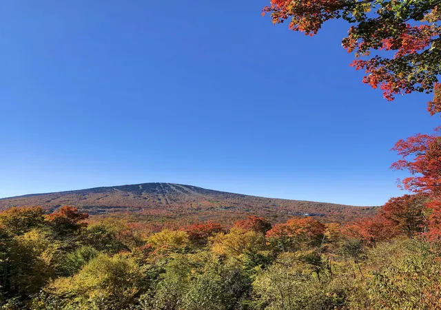 Homes for sale in Winhall, VT | 0 Mountain Haunts, Winhall, VT 05340 | MLS# 5099438