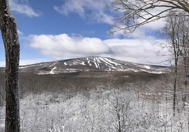 Homes for sale in Winhall, VT | 0 Mountain Haunts, Winhall, VT 05340 | MLS# 5099438