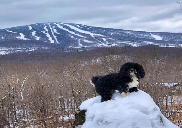 Homes for sale in Winhall, VT | 0 Mountain Haunts, Winhall, VT 05340 | MLS# 5099438