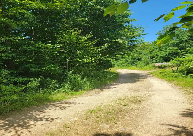 Homes for sale in Glastenbury, VT | 0 Old Gale Hill Rd, Glastenbury, VT 05262 | MLS# 5099471