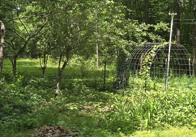 1st image of 208 Nh Route 3a, Hill, NH 03243 | MLS# 5099472