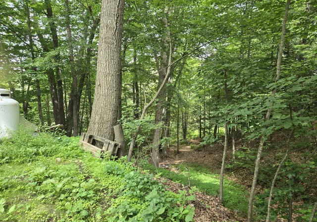 2nd image of 208 Nh Route 3a, Hill, NH 03243 | MLS# 5099472