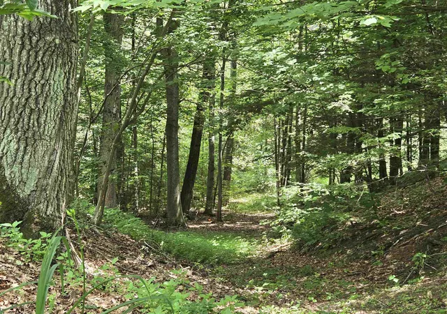 3rd image of 208 Nh Route 3A, Hill, NH 03243 | MLS# 5099472